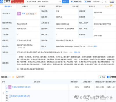 格力電器渠道改革進(jìn)入新時(shí)期 多地成立數(shù)字科技公司推動(dòng)電器輔件銷售
