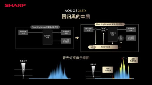 沉浸式全面屏旗艦 夏普AQUOS XLED新品4K電視發布，售價16999元開啟視聽新紀元